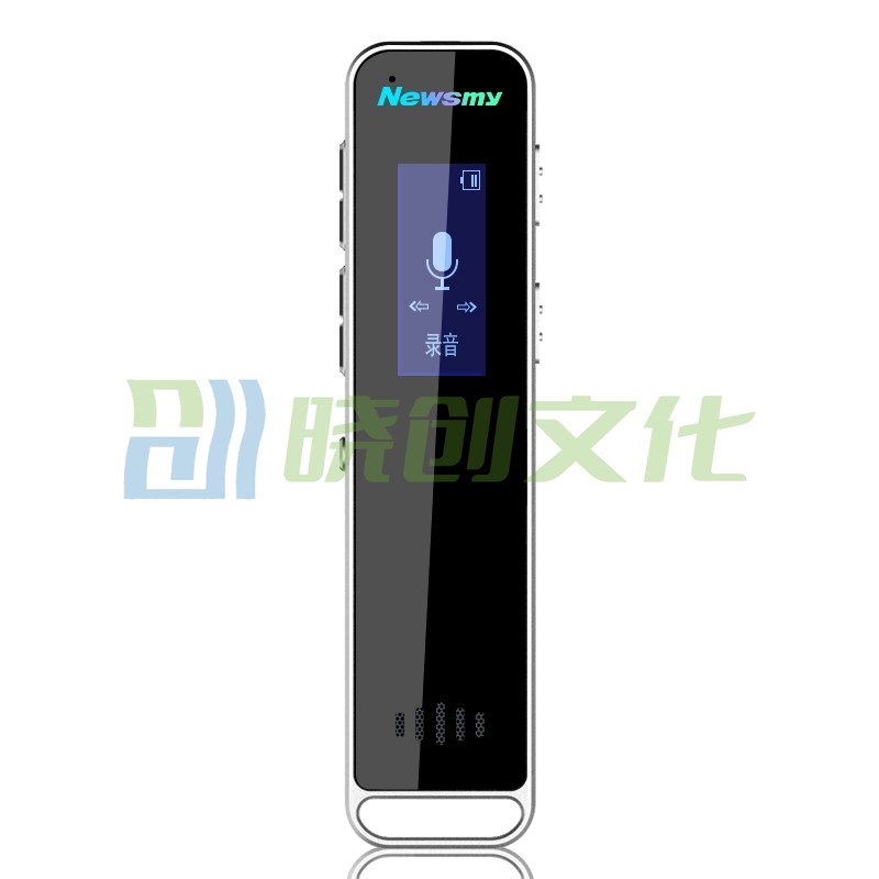 纽曼（Newsmy）录音笔 RV51 经典实用HIFI 微型远距高清降噪 学习培训商务会议录音速记 mini 8G黑色