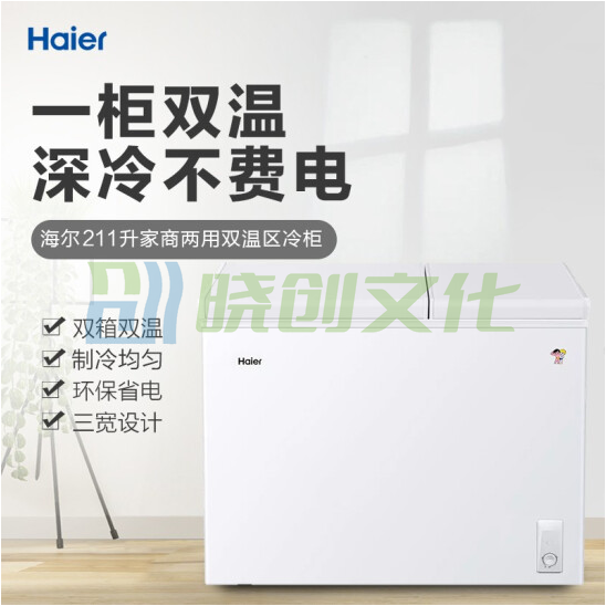 海尔（Haier）FCD-211XBZ冰柜 家用冰柜冷藏冷冻转换小冰柜节能静音大容量速冻冰柜