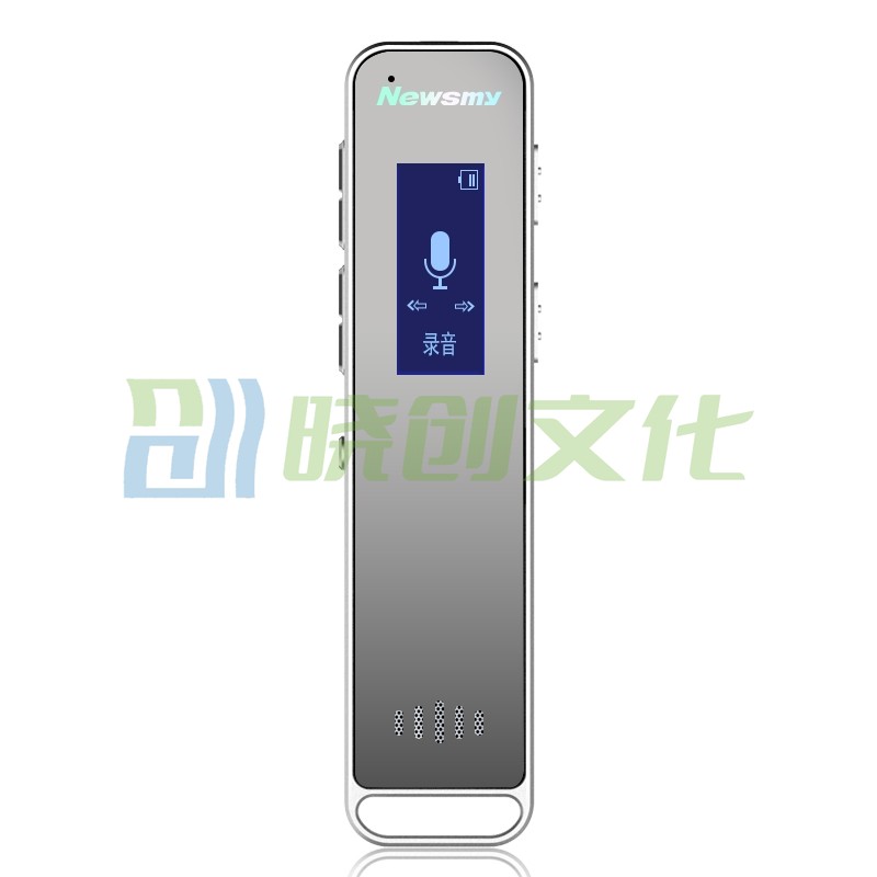 纽曼（Newsmy）录音笔 RV51 经典实用HIFI 微型远距高清降噪 学习培训商务会议录音速记 mini 16G银色