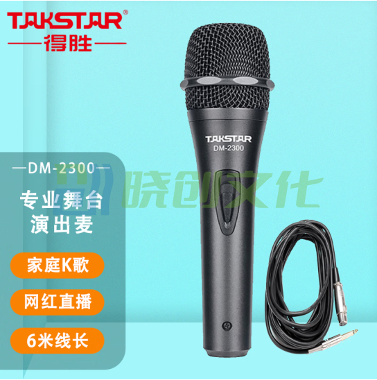 得胜（TAKSTAR） DM-2300有线动圈麦克风 专业唱歌话筒 家庭ktv演唱K歌卡拉OK舞台录 黑色