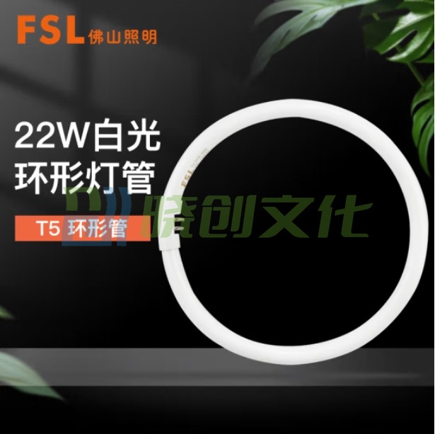 佛山照明（FSL）环型灯管22W  外直径18cm