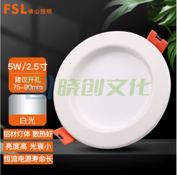 佛山照明 5W2.5寸 筒灯LED玄关防雾灯吊顶天花灯白光6500K